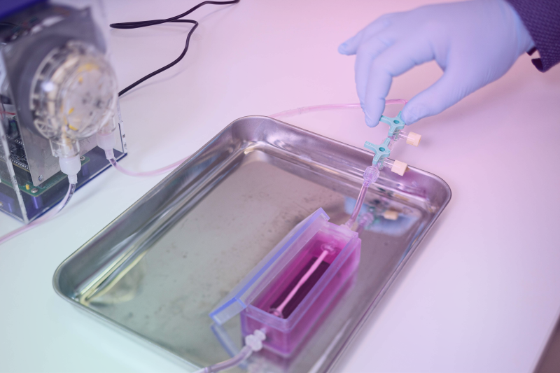 Bioreactor
